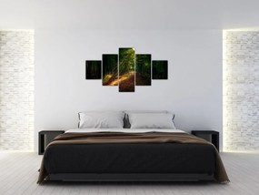 Obraz leśnej ścieżki (125x70 cm)