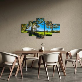 Obraz - widok pola (125x70 cm)