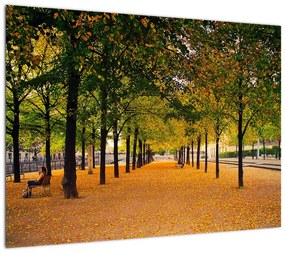 Obraz na szkle - aleja jesiennych drzew (70x50 cm)