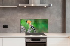 Panel szklany do Kuchni Papuga w Sercu Dżungli