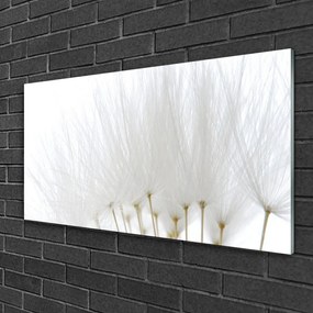 Obraz na Szkle Kwiaty Na Ścianę