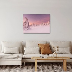 Obraz - Drzewa pod warstwą śniegu (70x50 cm)