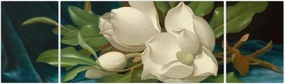 Obraz - Martin Johnson Heade, Giant Magnolias on a Blue Velvet Cloth, reprodukcje (170x50 cm)