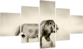 Obraz - Głodny lew (125x70 cm)