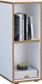 Shelf Books Folder Plik Shelf Salia 2f