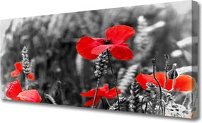 Obraz na płótnie Klasyczne Czerwone Maki