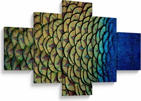 Obraz - Pawie pióra (125x70 cm)