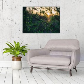 Obraz słońca przeświecającego przez gałęzie drzew (70x50 cm)