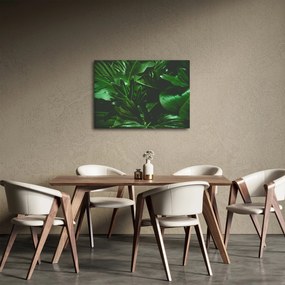 Obraz - Liście palmowe (70x50 cm)