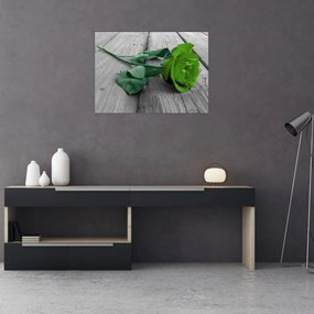 Obraz - Zielona róża (70x50 cm)