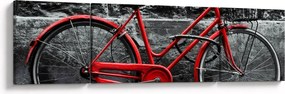 Obraz - Zabytkowy rower (170x50 cm)