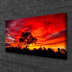 Obraz canvas na ścianę Głusza Leśnej Natury