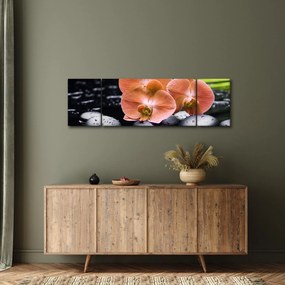 Obraz - Pomarańczowa orchidea z liśćmi palmy (170x50 cm)