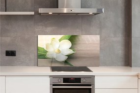 Panel Kuchenny Szklany Szlachetna Biała Magnolia