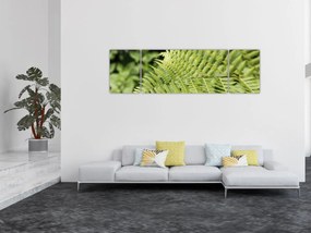 Obraz - Liść paproci (170x50 cm)