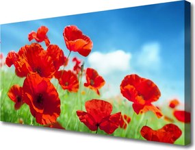 Obraz canvas na ścianę Maki w Porannej Rosie