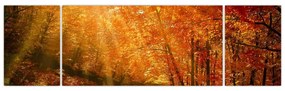 Obraz jesiennego lasu (170x50 cm)