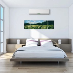Obraz łąki i lasu (170x50 cm)