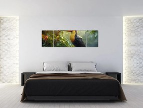 Obraz - Tukan (170x50 cm)
