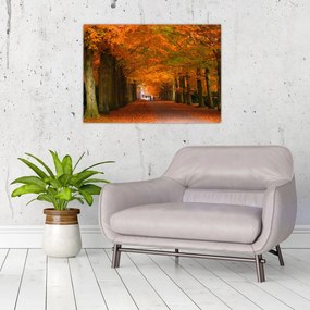 Obraz na szkle - Aleja drzew jesienią (70x50 cm)