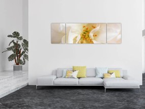 Obraz - Kwiat (170x50 cm)