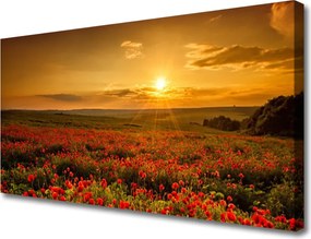 Obraz canvas Maki w Blasku Zachodzącego Słońca