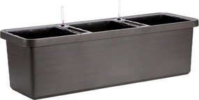 Plastia Skrzynka samonawadniająca Berberis TRIO, antracyt