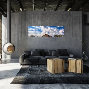 Obraz pola słoneczników (170x50 cm)