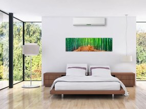Obraz - Japoński las bambusowy (170x50 cm)