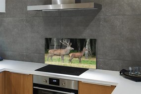 Panel Szklany Jeleń w Gęstwinie Leśnej