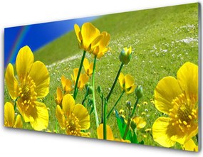 Panel nad blat kuchenny Tęcza Nad Kwitnącą Łąką