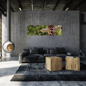 Obraz żyrafy od tyłu (170x50 cm)