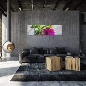 Obraz ciętego kwiatu (170x50 cm)