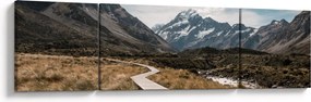 Obraz - Chodnik w dolinie góry Mt. Cook (170x50 cm)
