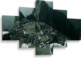 Obraz - Lamy w Machu Picchu w Peru (125x70 cm)