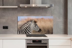Panel szklany do Kuchni Spojrzenie Dzikiej Zebry
