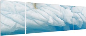 Obraz - Niedźwiedź polarny (170x50 cm)