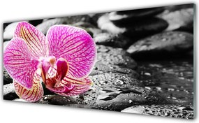 Panel Kuchenny Orchidea Na Kamieniach Rzecznych