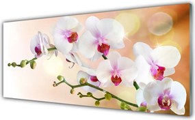 Panel Szklany Malowniczy Ogród Kwiatowy