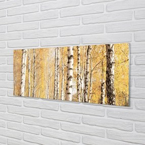 Panel szklany do Kuchni Barwy Jesiennego Lasu