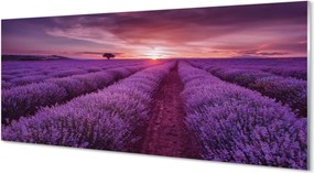 Szkło do Kuchni na Ścianę Prowansalski Styl Wrzosów