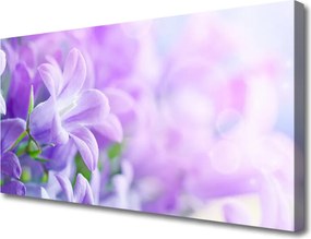 Obraz drukowany na płótnie Wykwintny Ogród Kwiatowy