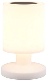 Solarna lampa zewnętrzna LED (wysokość 21 cm) Silva – Trio