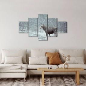 Obraz - Łoś w śnieżnym lesie (125x70 cm)