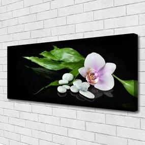 Obraz canvas na ścianę Kompozycja Spa i Natury