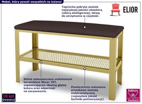 Nowoczesne siedzisko z metalowym stelażem złoty + wenge - Sagal 3X