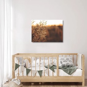 Obraz na szkle kwitnącej trawy (70x50 cm)