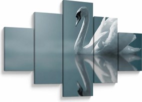 Obraz - Biały łabędź (125x70 cm)