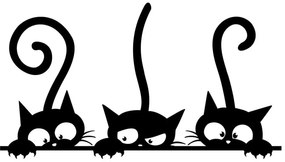 Naklejka na ścianę Ambiance Funny Cats Trio, 20x35 cm