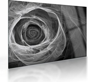 Obraz na szkle - Abstrakcyjna róża czarno-biała (70x50 cm)